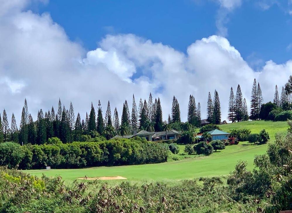 Maui Hawai scene