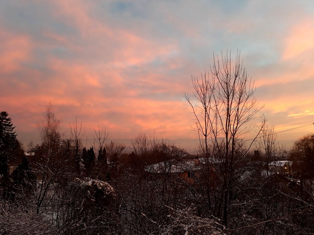 Caption: A photo taken at sunrise, a pink sky and some trees during winter time (Local Guide @MoniDi)
