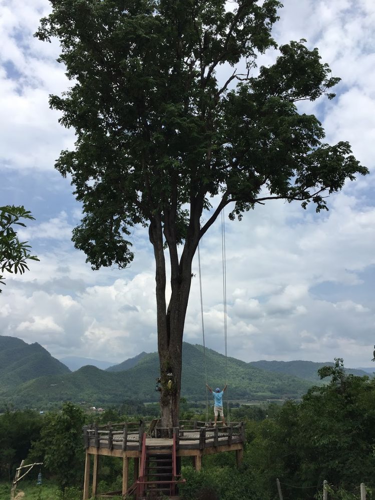 Caption: A photo of a big tree, a swing attached to it and stunning mountain view on the background. (Local Guide @TsekoV)