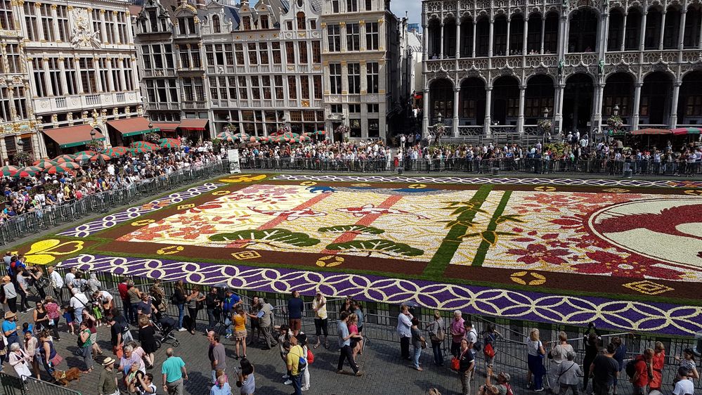 Caption: A photo of the flower carpet on the Grand Place in Brussels, Belgium (Local Guide Sébastien Barbieri)
