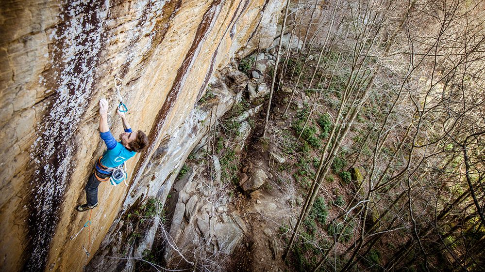Caption: A photo of a rock climber holding onto a cliff wall, captured from above with a view of ground and trees below. (Local Guide Travel KY)
