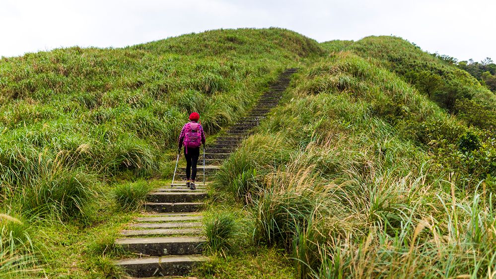 Caption: A photo of the back view of a person walking up steps with the assistance of walking poles in a hiking area in Yilan County, Taiwan. The steps are surrounded by rolling hills covered in grass. (Local Guide 王彥宸)