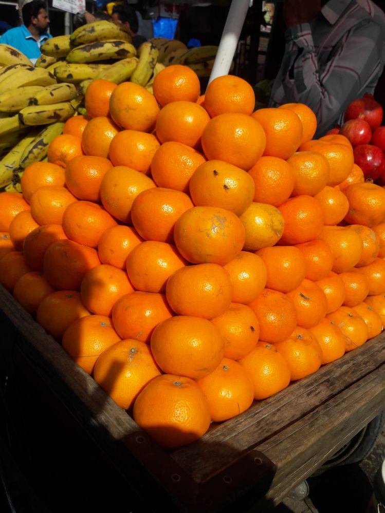 Caption: A variety of oranges from India