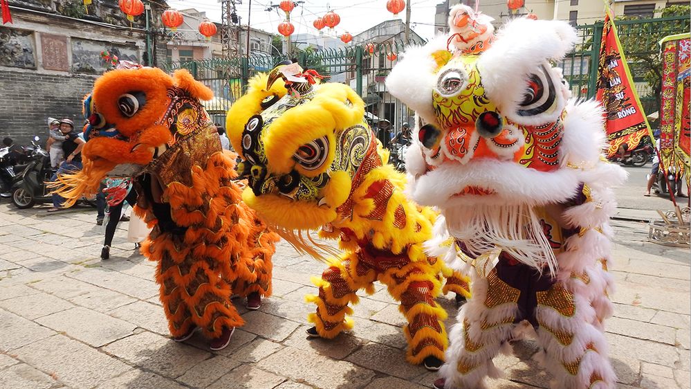 Caption: A photo of traditional Chinese lion dance performers in costumes during Lunar New Year in Ho Chi Minh City, Vietnam. (Local Guide duy trần hải)