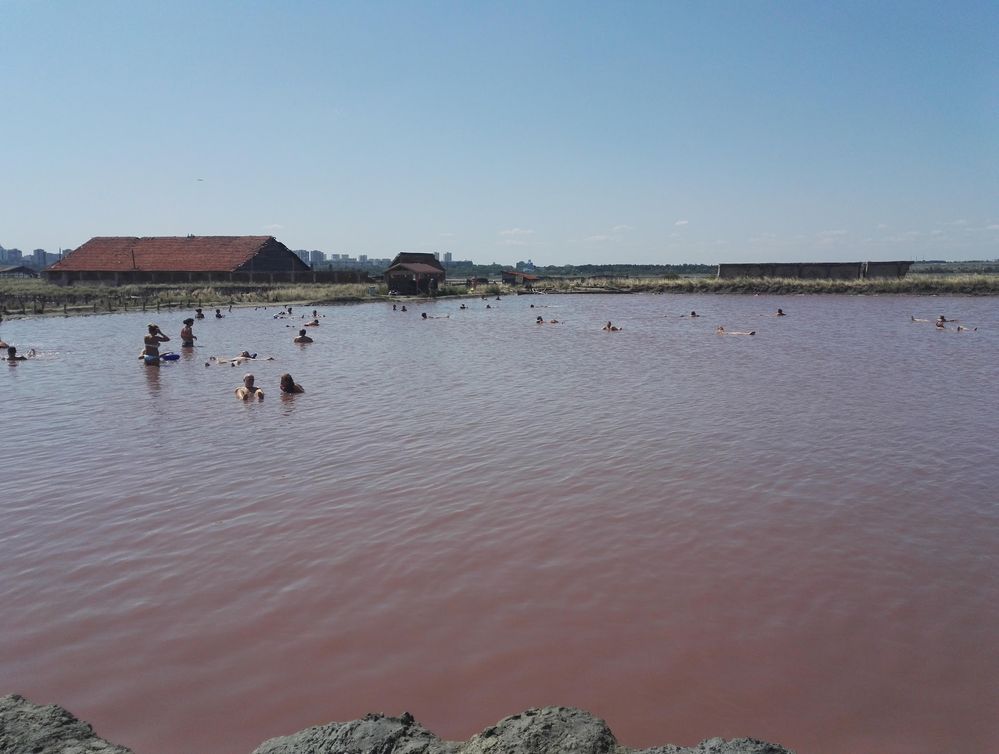Caption: A photo of pink-colored pool in Burgas saltworks. (Local Guide @TsekoV)