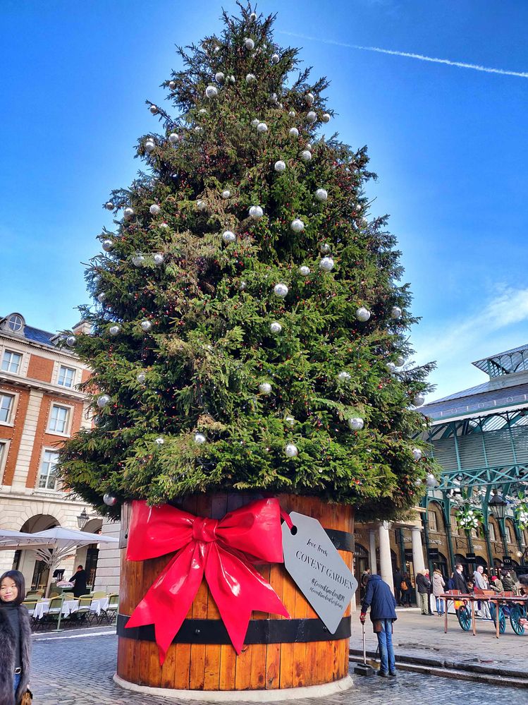 Beautiful Christmas tree outside Apple Market