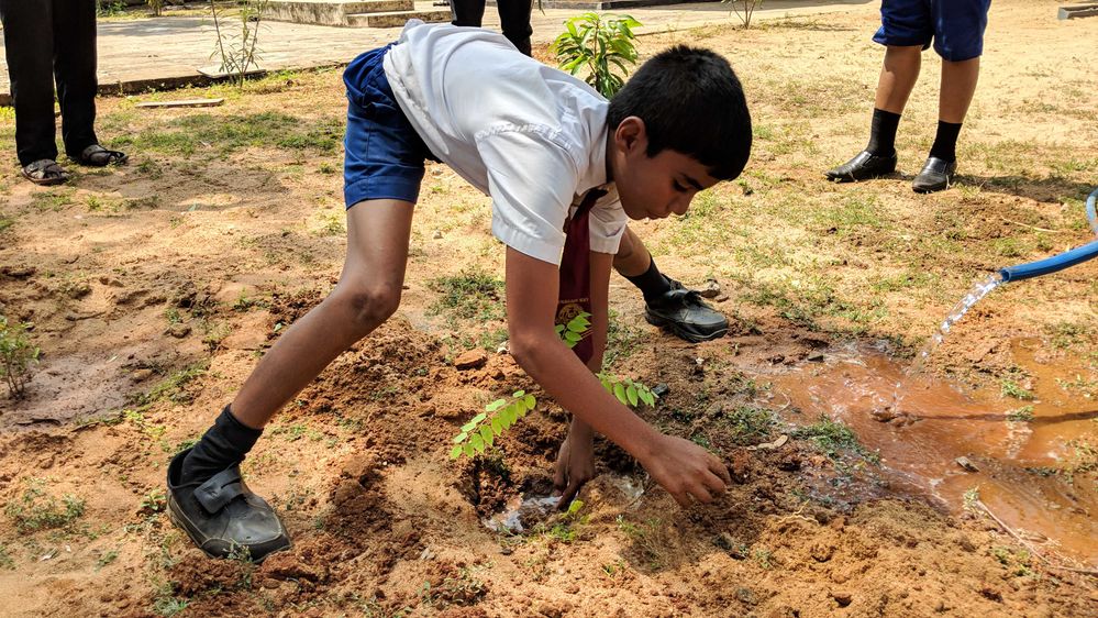 Kid planting a tree