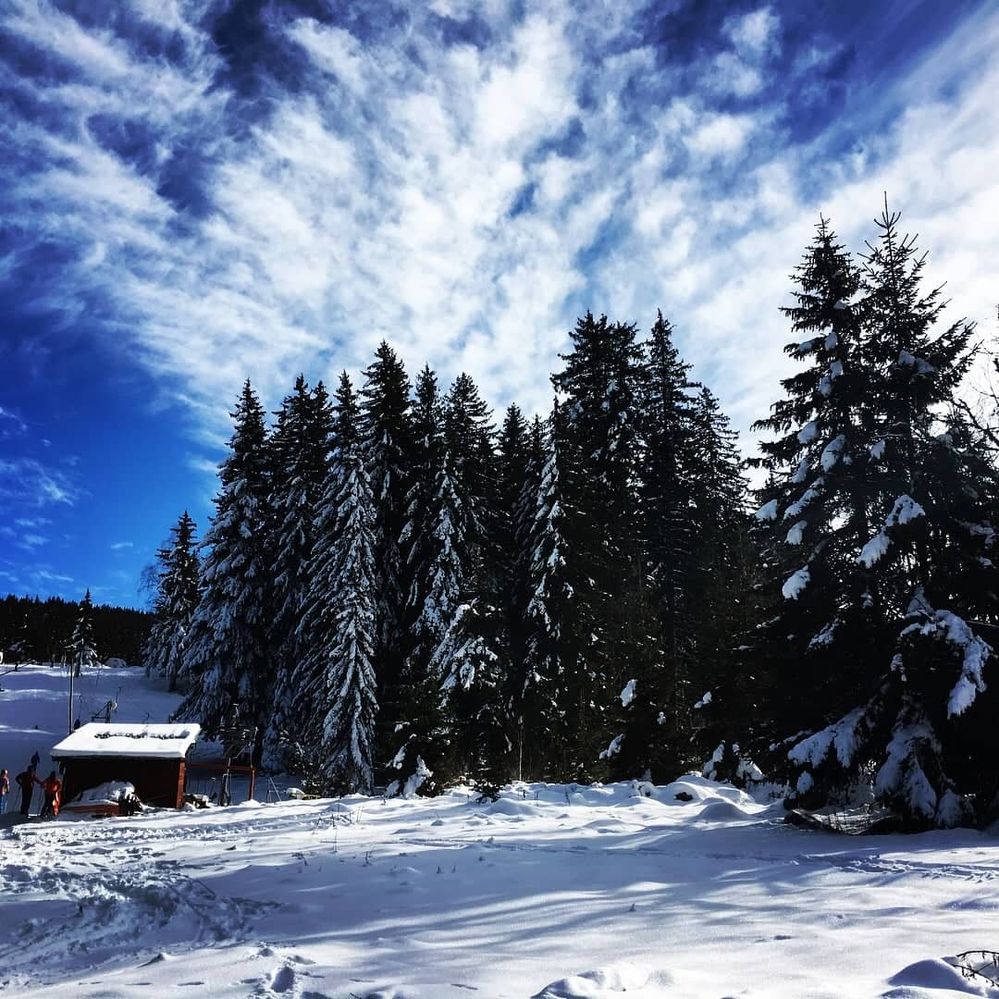 Caption: Winter in Bulgaria, Vitosha Mountain (Local Guide @Petra_M)