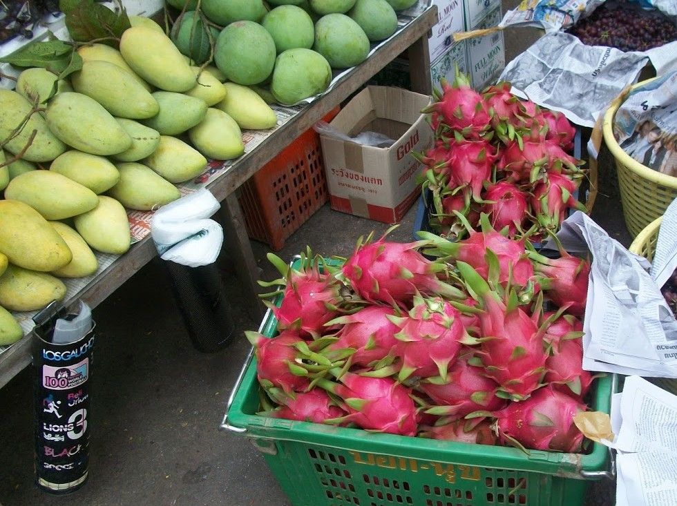 Caption: A photo of the Dragon fruit in Thailand (Local Guide @Aruni)