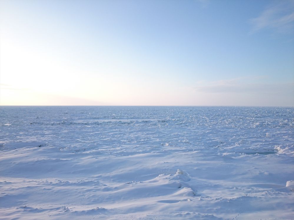 Drift ice that comes to the Shiretoko peninsula (LocalGuide @YasumiKikuchi)