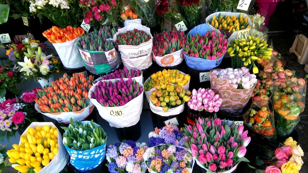 Flowers market in Tallinn, Estonia