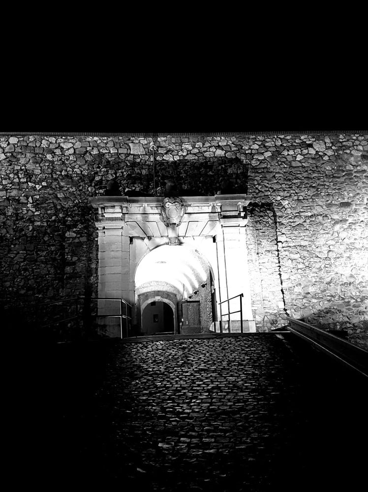 Caption: One of the gates of Bratislava castle, photo in black&white. (Local Guide @InaS)