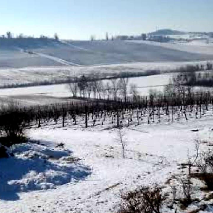 Landscape vigna & snow  Irpinia
