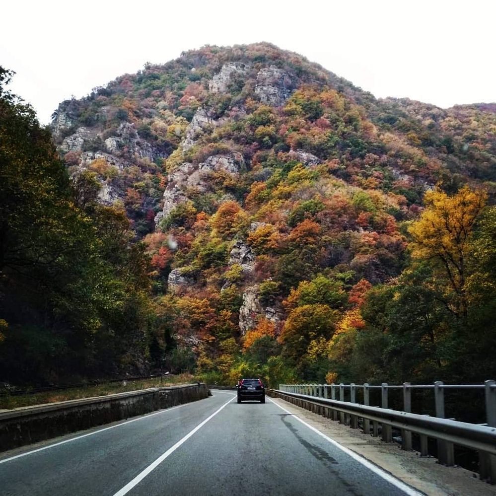 Billedtekst: En bil kører på en vej mod en bjergside dækket af træer i efterårsfarver (Local Guide @DeniGu)
