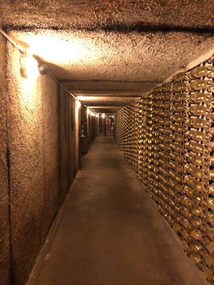 Wine cellar (photo @davidhyno)