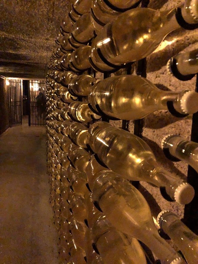 Wine cellar - different point of view (photo @davidhyno)