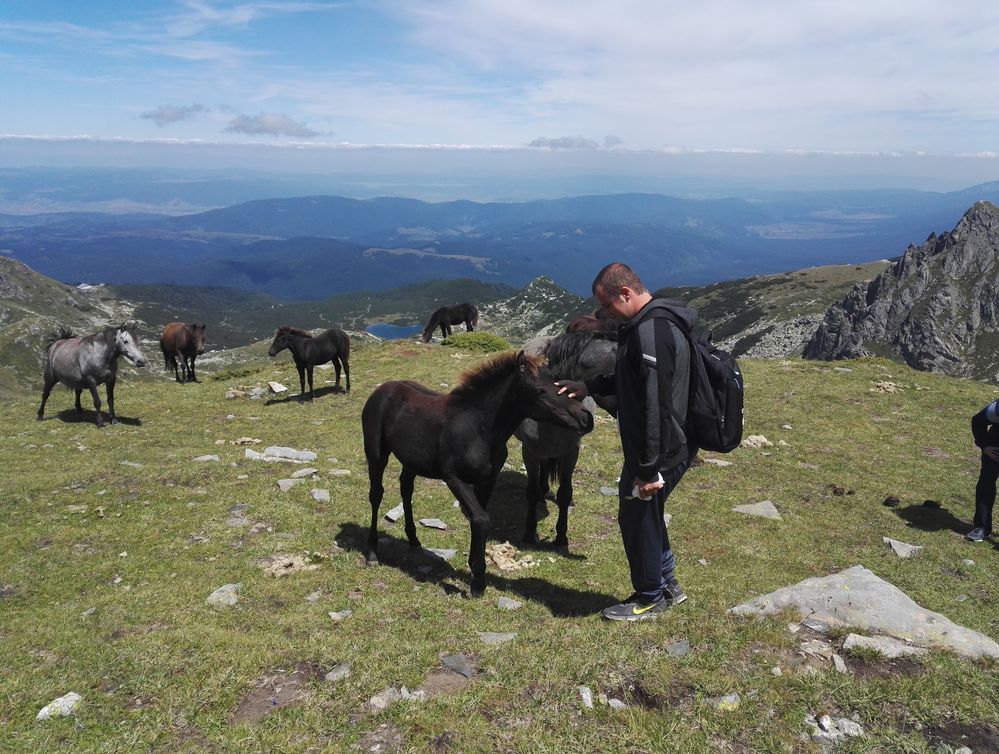Caption: A photo of me taking a photo with a filly. (Local Guide @TsekoV)