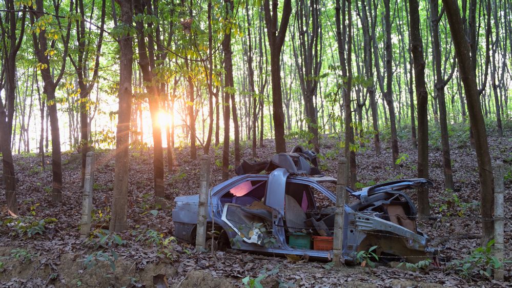 I am unsure nature meant it to be this way but it is what it is -  sunset and trees partnered with one abandoned wreck of a car