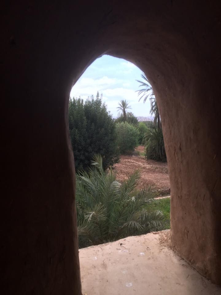 Oasis Tioute Maroc