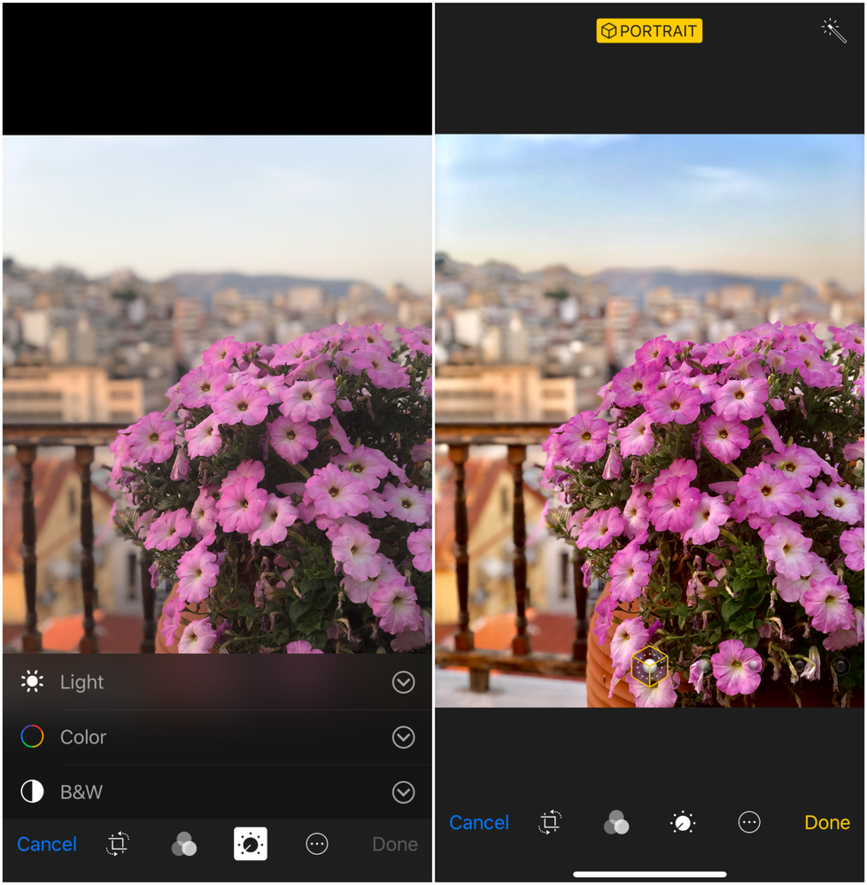 Caption: A set of two mobile phone screenshots, showing a close-up photo of purple flowers, with a city skyline in the background before and after editing the light. The left photo is the original one, which has more subdued colors, while the one on the right has the brightness, highlights, shadows, and color adjusted, making it more vibrant and vivid. (Local Guide @DanniS)