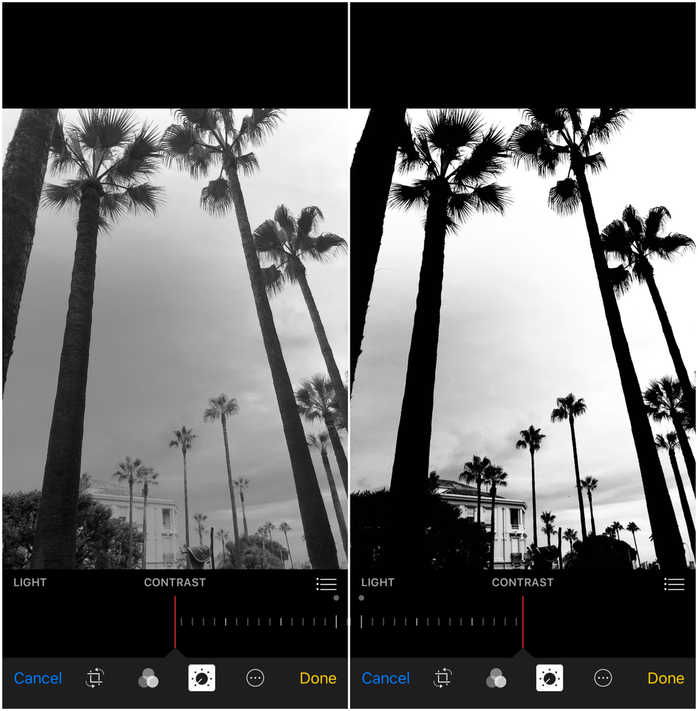 Caption: A set of two mobile phone screenshots, showing a back and white photo of palm trees before and after editing the tonal contrast. The screenshot on the left shows the tonal contrast set on low, making the photo more gray, while the one on the right has high tonal contrast, making the palm trees stand out more. (Local Guide @DanniS)