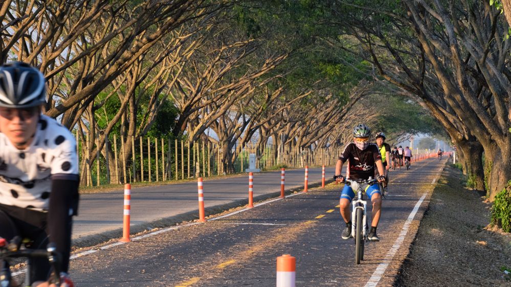 Trees form an archway along the bike track, Chiang Rai International Airport