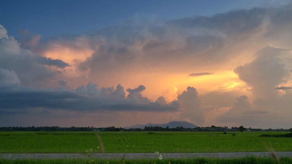 My kind of heaven - clouds, rice fields, sunset, and a mean storm brewing