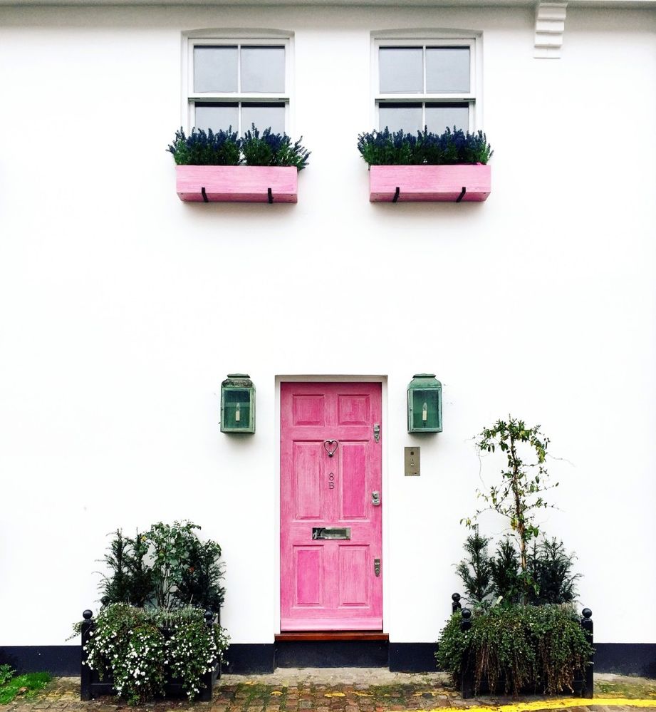 Caption: A photo of a white building with a bright pink door and two pink window boxes with greenery inside of them. (Courtesy of Bella Foxwell)