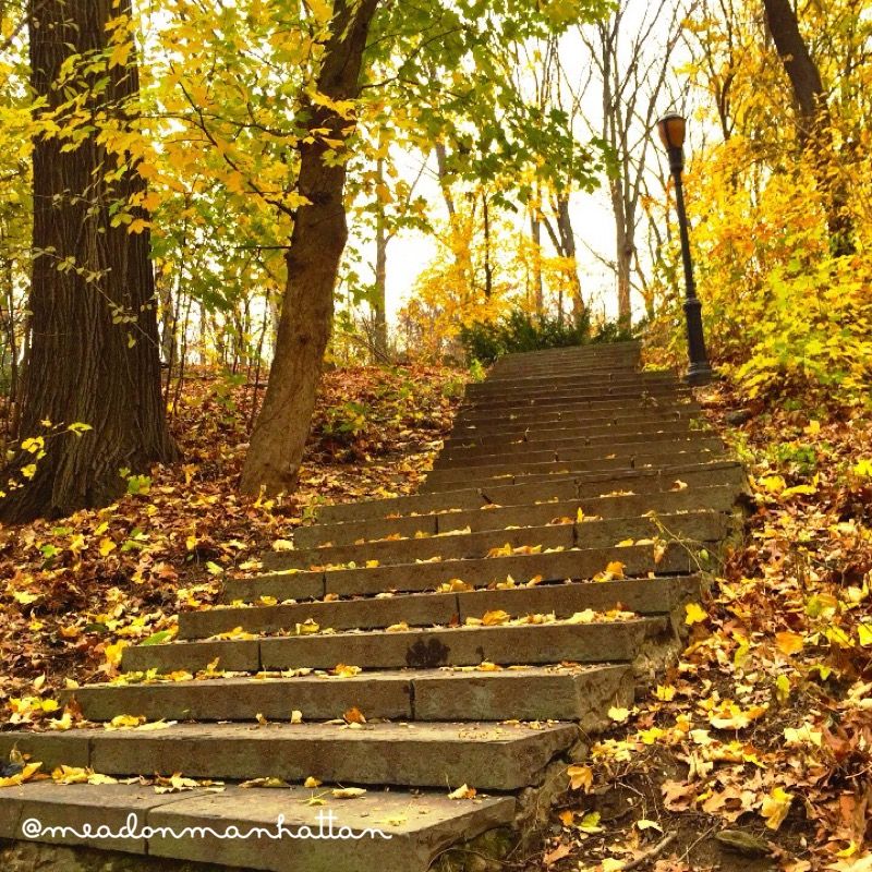 There are parts of NYC, and even Manhattan, most New Yorkers haven't been to or even know about. This staircase is at the northern end of Ft. Tryon Park. North of that is Inwood Hill Park, a primordial place that is almost untouched since before Henry Hudson sailed up the "North River."