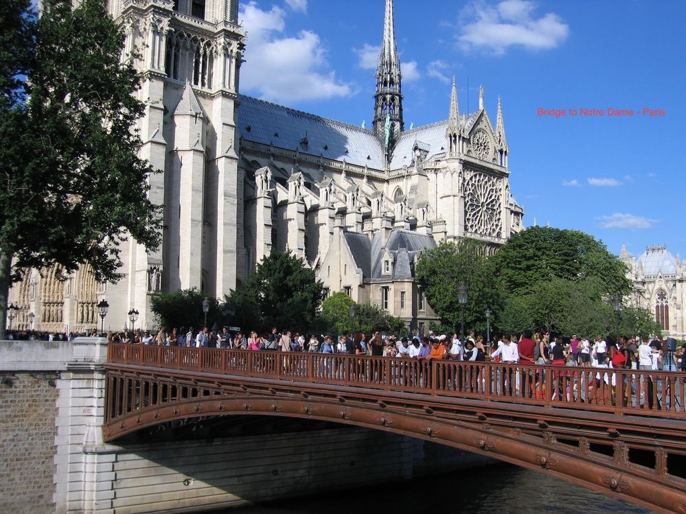 at Notre Dame Paris