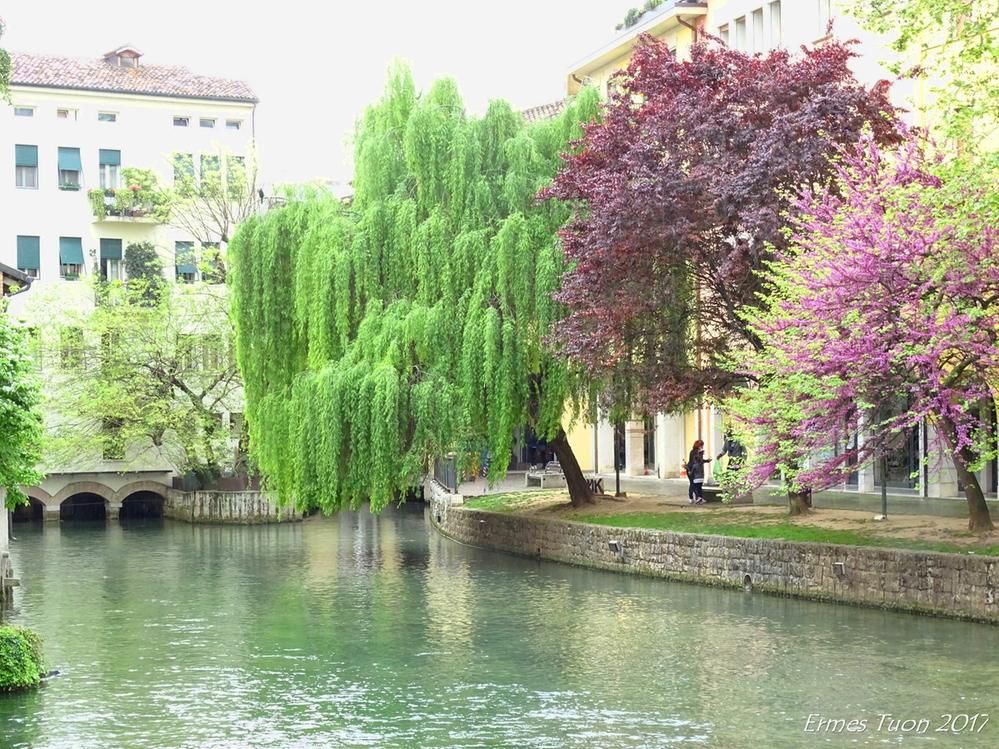 Légende: une rivière propre traversant le centre-ville, avec des arbres verts et en fleurs - Guide Local @ermest