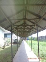 Caption: Photo of the roofed wheelchair accessible walkway inside SCIAN village complex