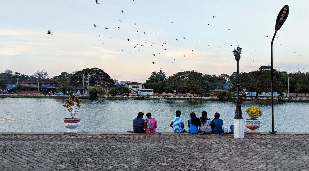 people relaxing by looking the lagoon and the birds