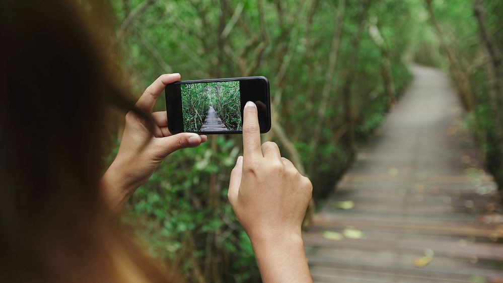 Caption: A close-up photo of a woman’s hands taking a photo of a pathway and trees with her smartphone. (Getty Images)