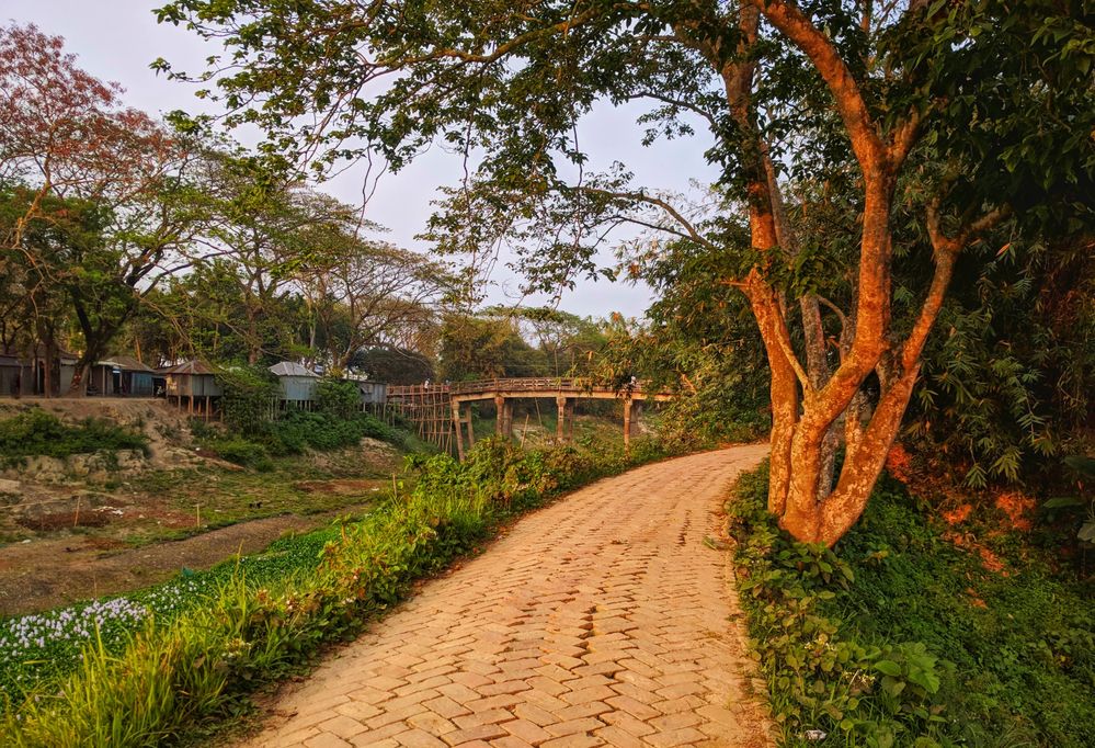 A photo captured during the 36 Walk . Pavement with bricks, Dry cannel & a bridge @ Betila, Manikganj