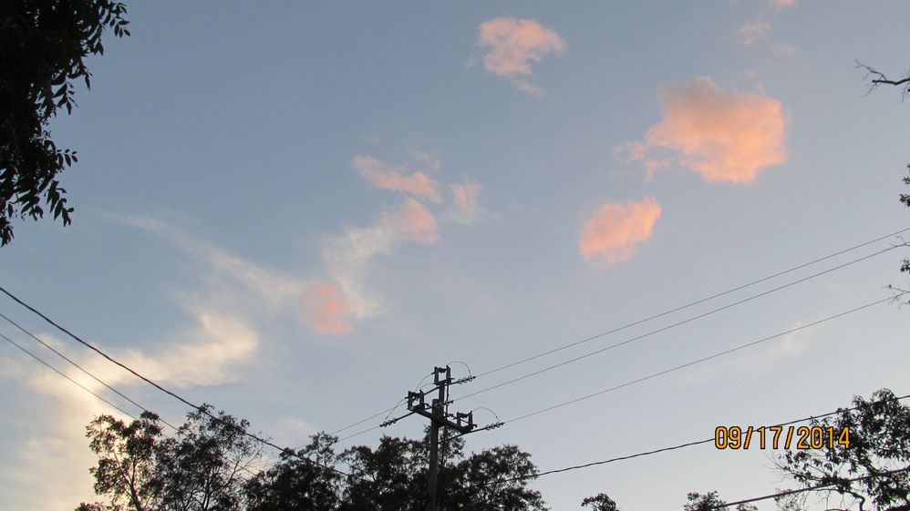 One of my favorite Cuthbert pix near sunset.