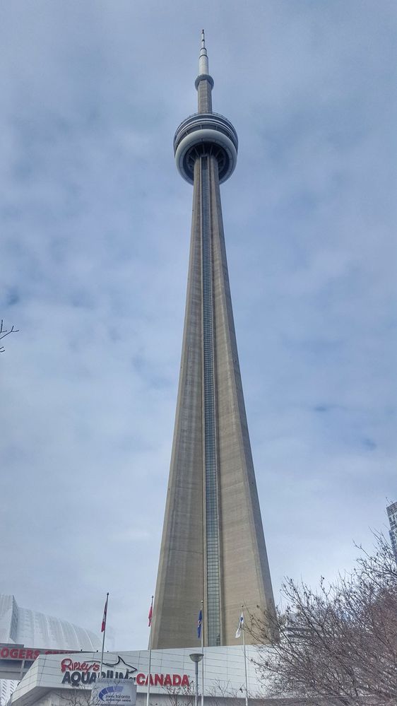 What would it be for a city tour without visiting the highest tower?