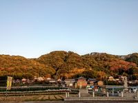 矢田丘陵 /YATA Hill