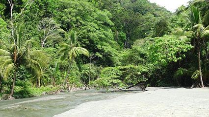 Corcovado Costa Rica