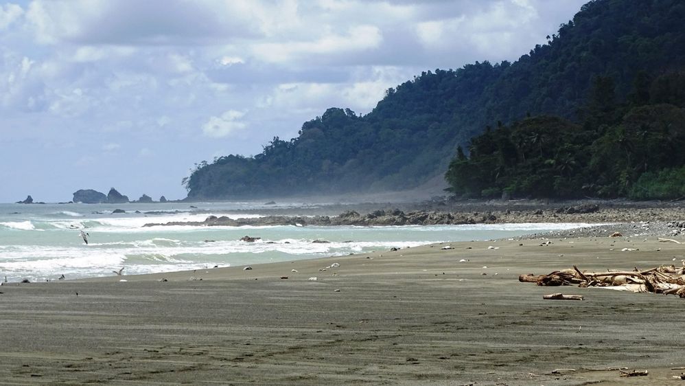 Corcovado Costa Rica
