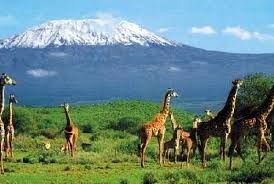 Mountain Kilimanjaro in Tanzania
