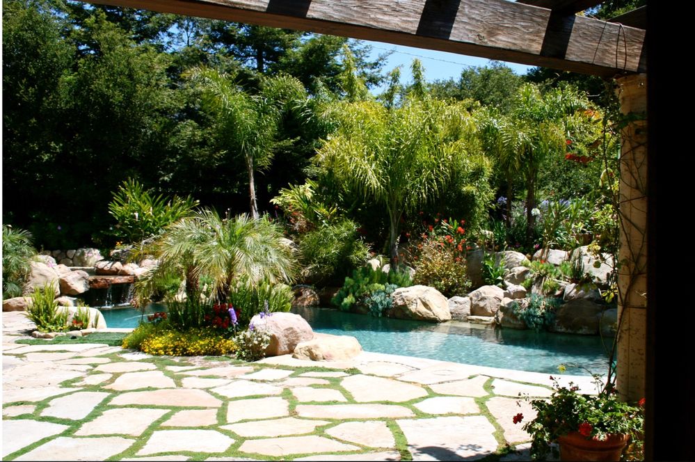 Amazing  pool with garden.