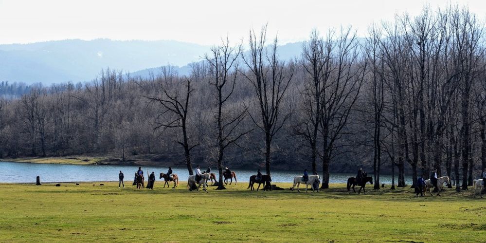 Horse ride at lake Plastira
