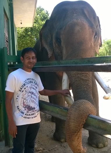 A free hungry elephant for lunch in Situlpawwa Buddhist monastery Sri Lanka
