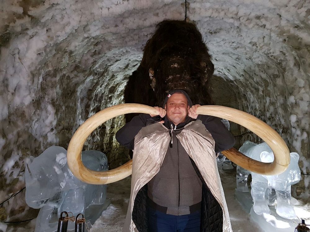 It's a stuffed mammoth. He was found by the workers when they dug a passage in the rock