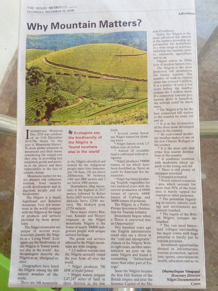 Article about Nilgiris Mountains