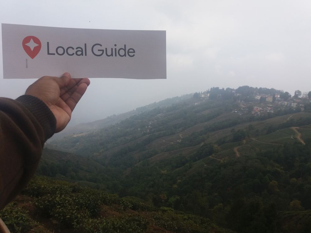 Local Guide