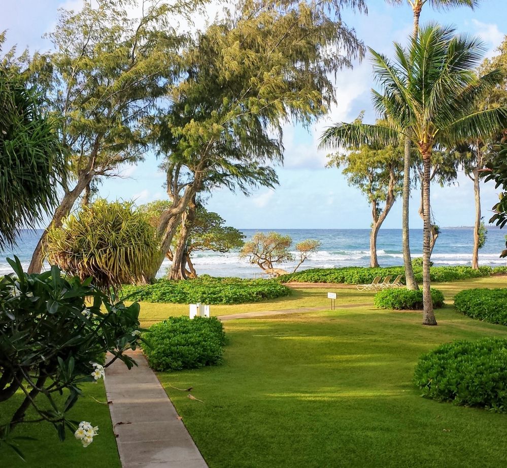 View from 2nd floor condo, Kauai Coast Resort at the Beachboy, Kapaa, HI, May 2016