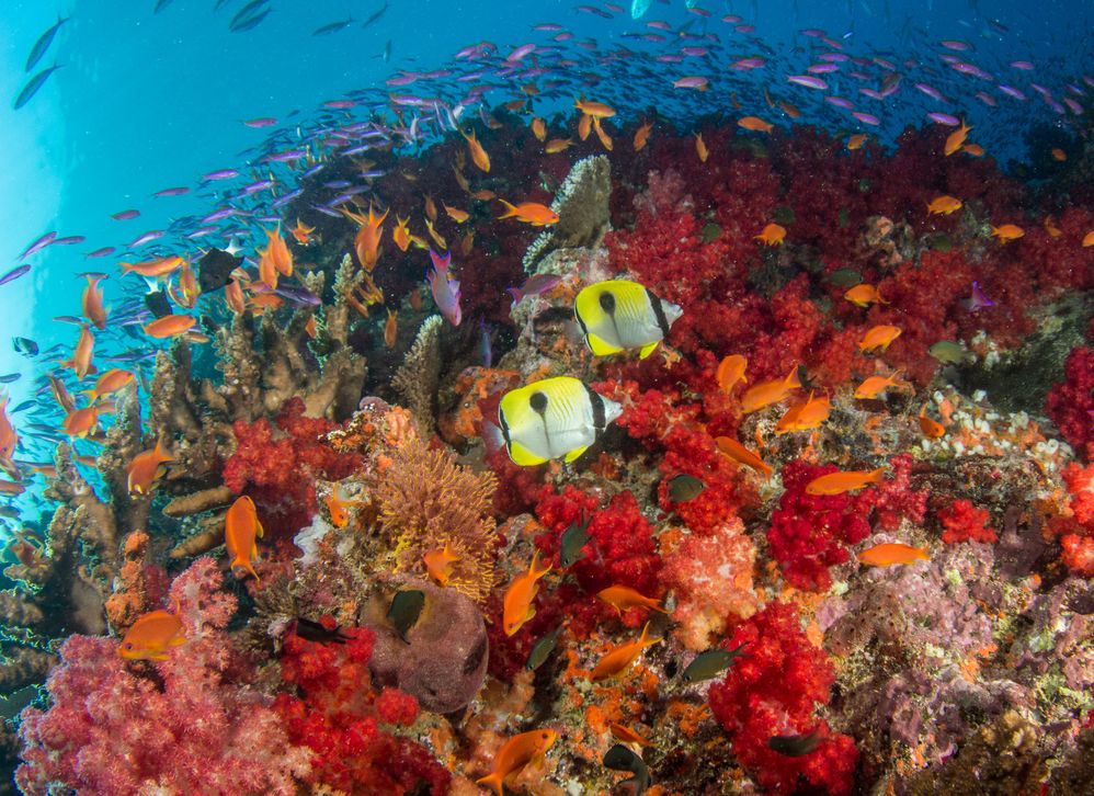 Beqa Lagoon