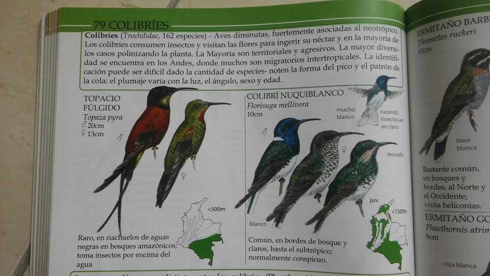 We have 162 species of hummingbirds